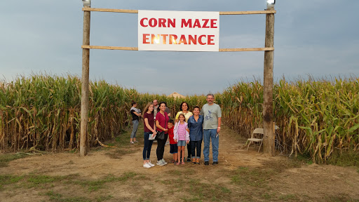 Tourist Attraction «Shipshewana Corn Maze», reviews and photos, 505 Morton St, Shipshewana, IN 46565, USA