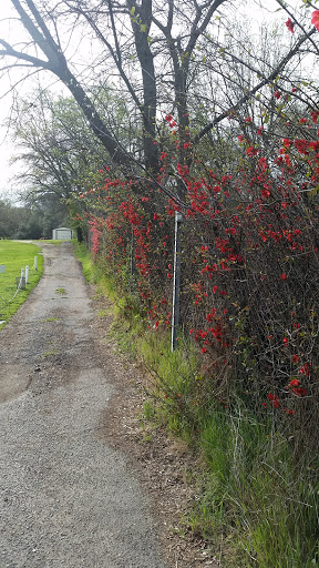 Public Golf Course «Sunrise Golf & Disc Golf Course», reviews and photos, 7925 Arcadia Dr, Citrus Heights, CA 95610, USA