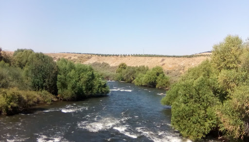 Nature Preserve «Kern River Preserve», reviews and photos, 18747 CA-178, Weldon, CA 93283, USA