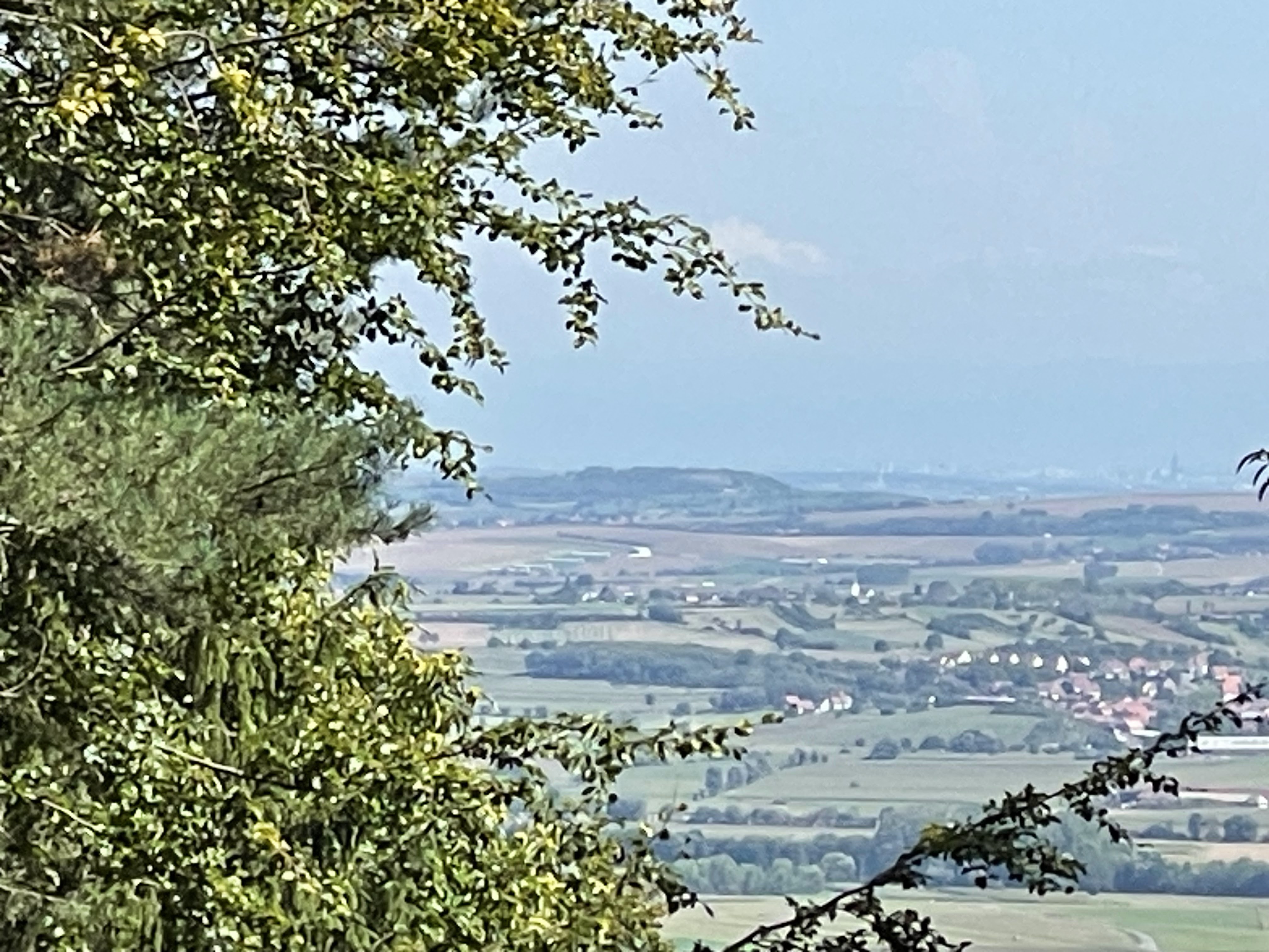 Photo n° 2 de l'avis de abies.o fait le 23/08/2023 à 17:46