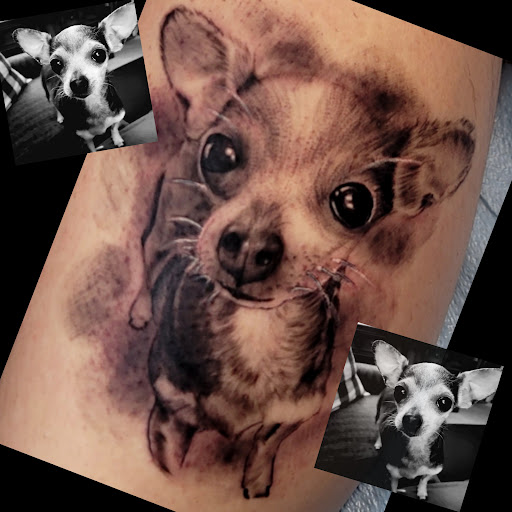 Explore uncharted tattoo ideas, creative tattoo ideas in Shelbyville, available at Ink & Skin Studios Inc