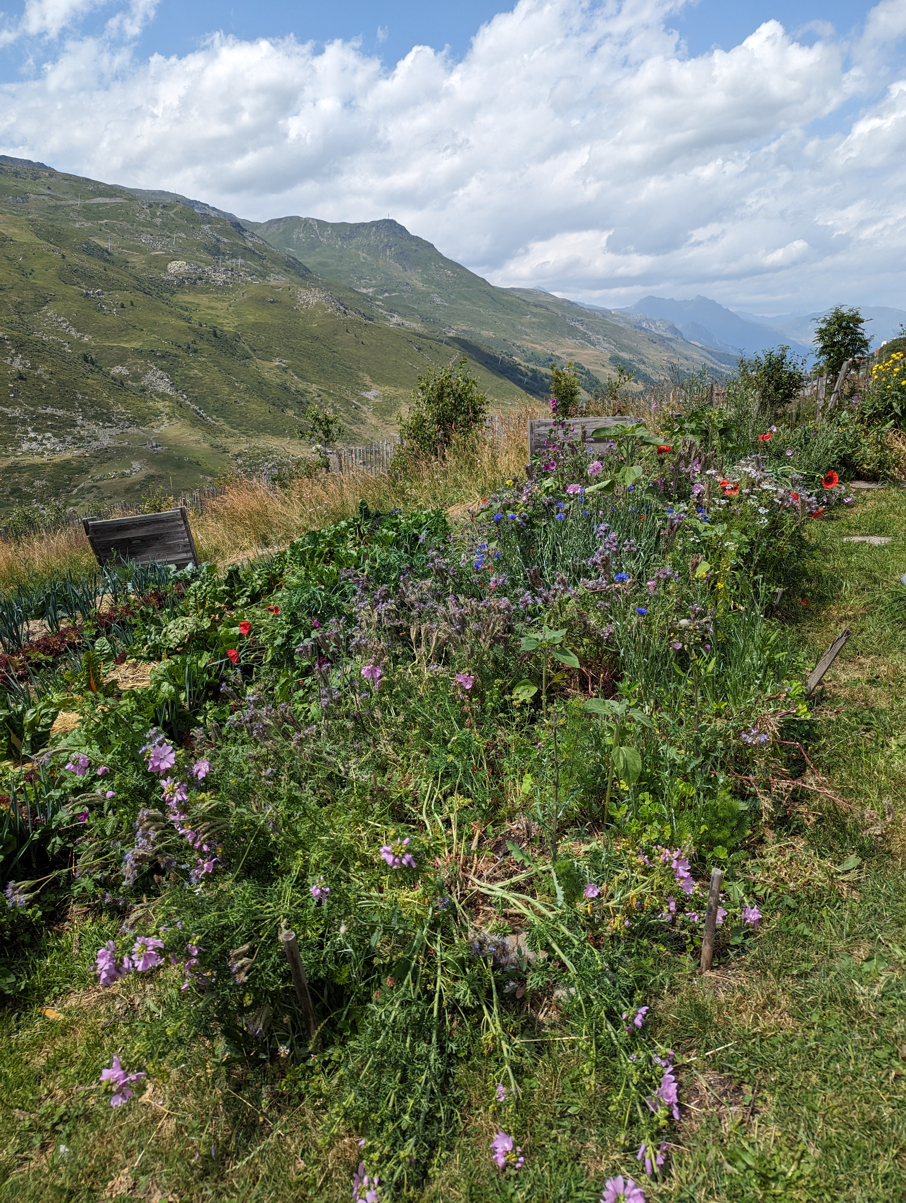 Photo n° 7 de l'avis de Julien.a fait le 09/08/2023 à 14:11