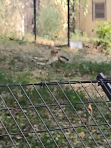 Zoo «The Maryland Zoo in Baltimore», reviews and photos, 1 Safari Place, Baltimore, MD 21217, USA