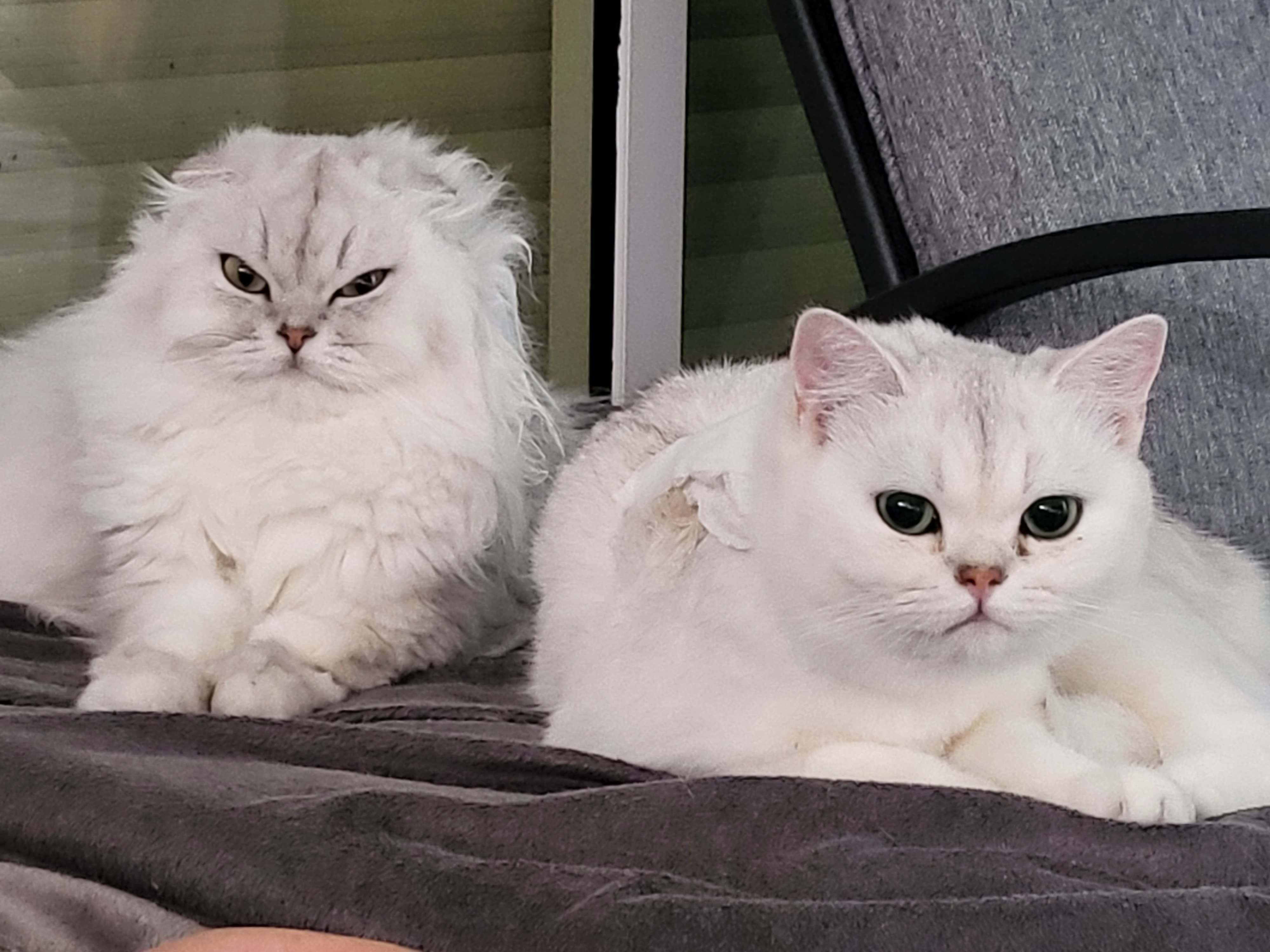 Photo n° 2 de l'avis de Sonia.h fait le 30/03/2019 à 06:25