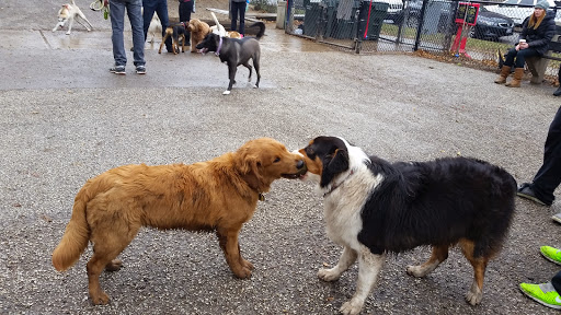 Dog Park «Wiggly Field Dog Friendly Area», reviews and photos, 2645 N Sheffield Ave, Chicago, IL 60614, USA