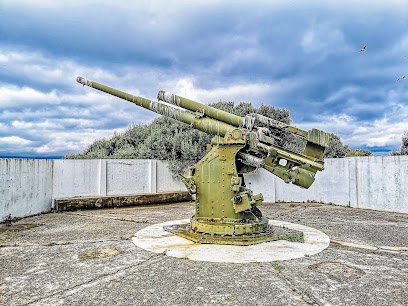 100 Ton Gun Napier of Magdala Battery