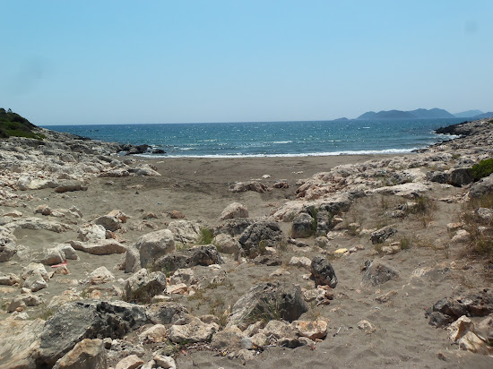 Leech Beach II