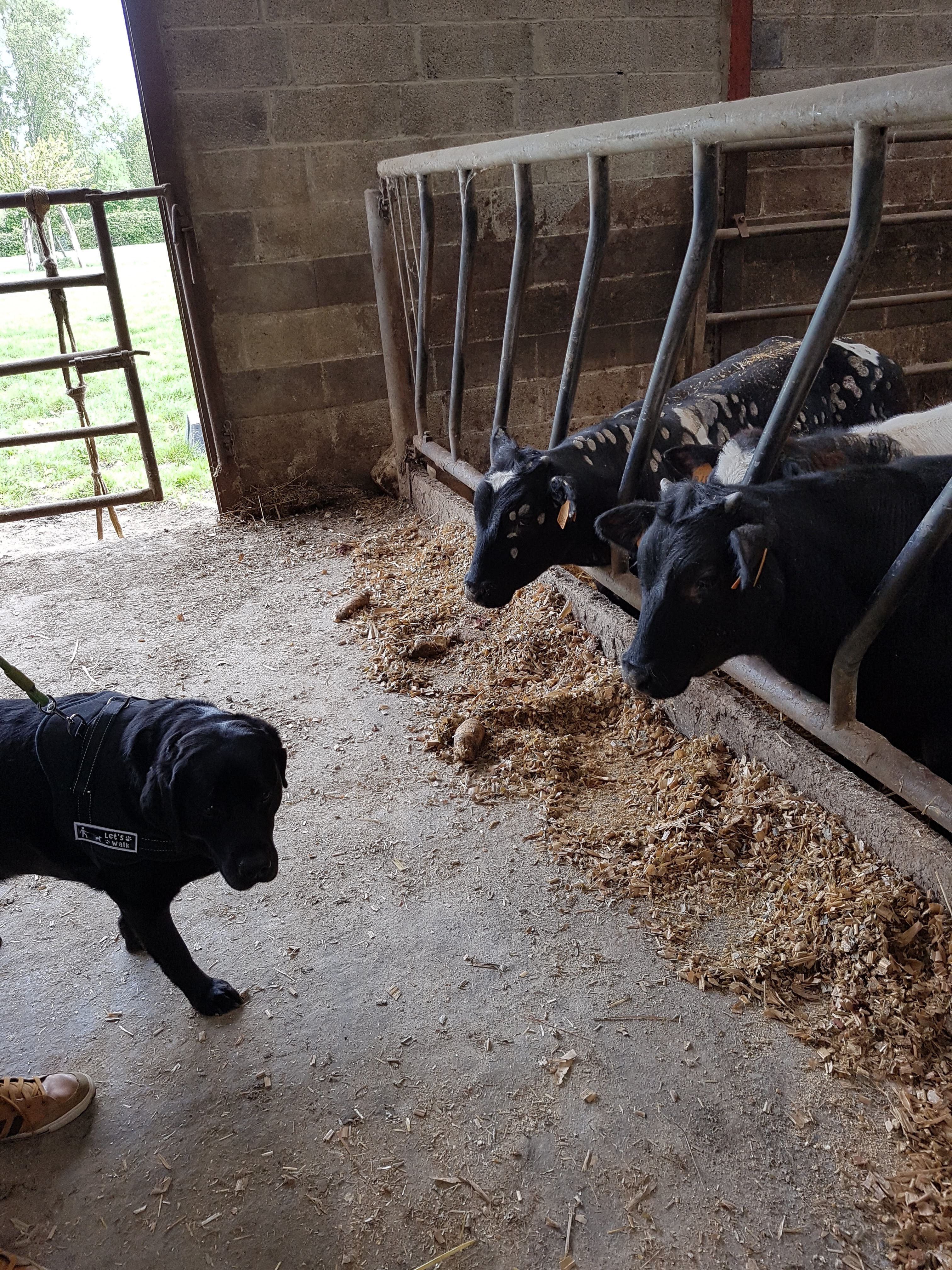 Photo n° 30 de l'avis de Alicia.P fait le 28/04/2019 à 13:27