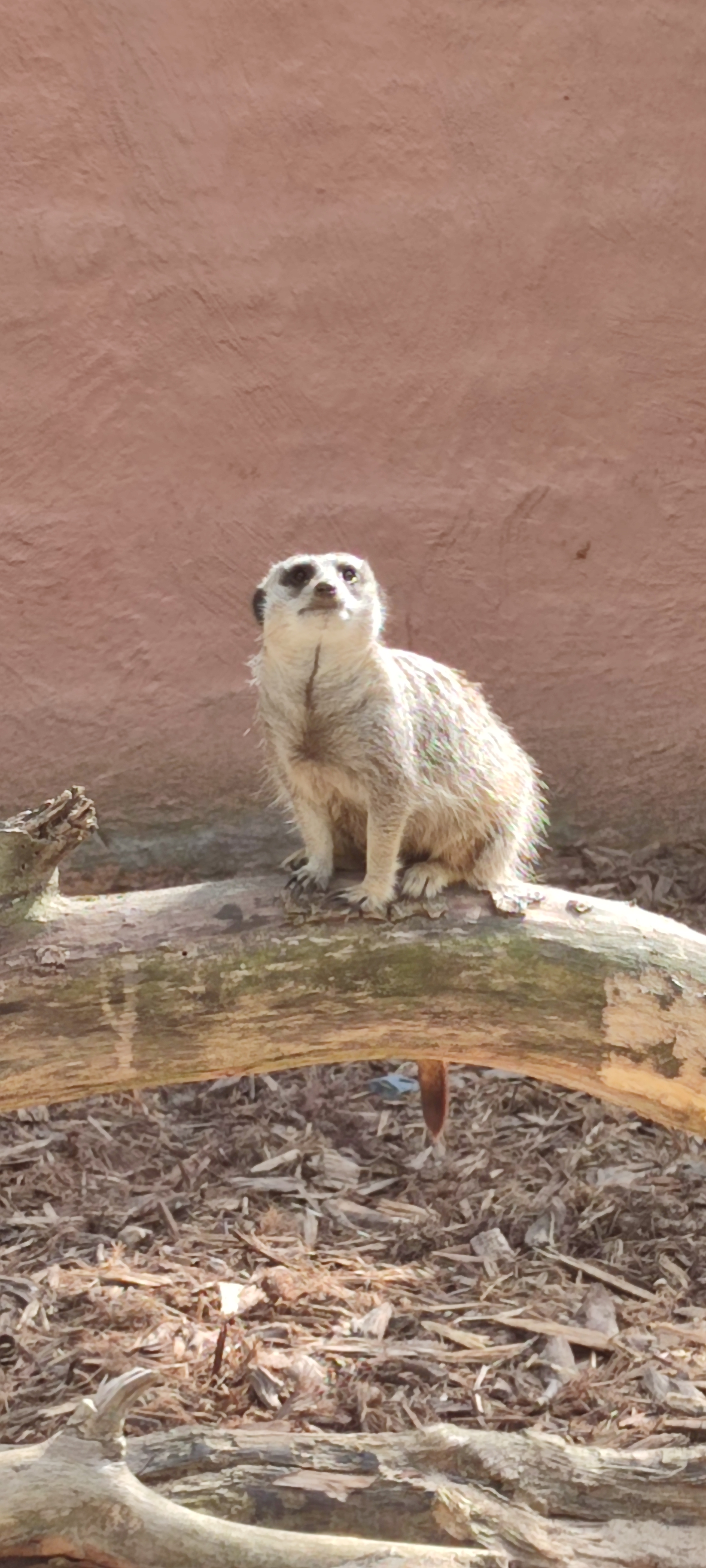 Photo n° 6 de l'avis de Magalie.o fait le 24/07/2021 à 15:03