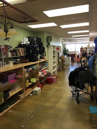 Thrift Store «ACO Resale Shop», reviews and photos, 801 E Main St, Allen, TX 75002, USA