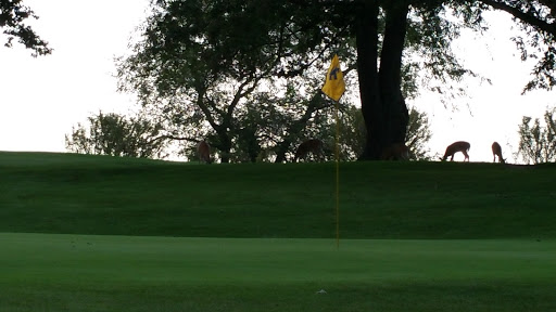 Golf Course «Huron Hills Golf Course», reviews and photos, 3465 E Huron River Dr, Ann Arbor, MI 48104, USA