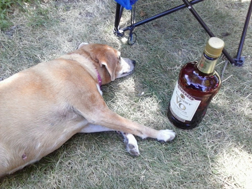 Campground «Hide Away Lakes», reviews and photos, 8045 Van Emmon Rd, Yorkville, IL 60560, USA