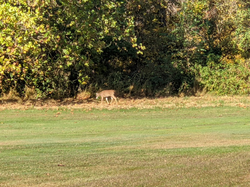 Country Club «Culpeper Country Club», reviews and photos, 2100 Country Club Rd, Culpeper, VA 22701, USA