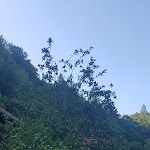 Photo n°4 de l'avis de Maria.r fait le 24/07/2019 à 20:19 sur le  Gasthof Pension Neumühle à Ahorntal