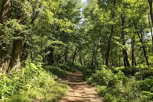 Boone Bottoms Trail image