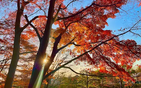 Oiso Joyama Park image