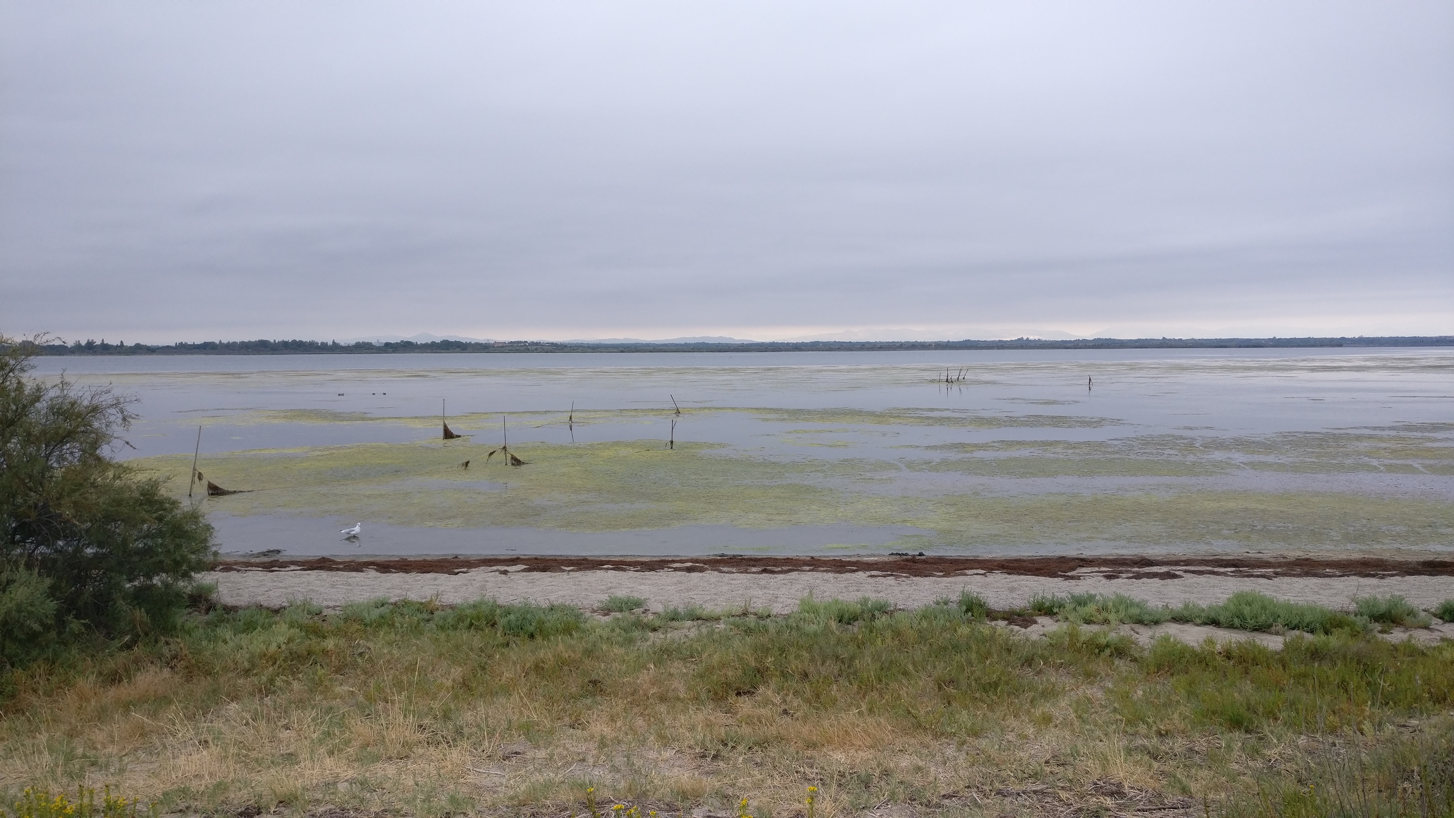 Photo n° 1 de l'avis de Laurent.. fait le 06/09/2018 à 17:05