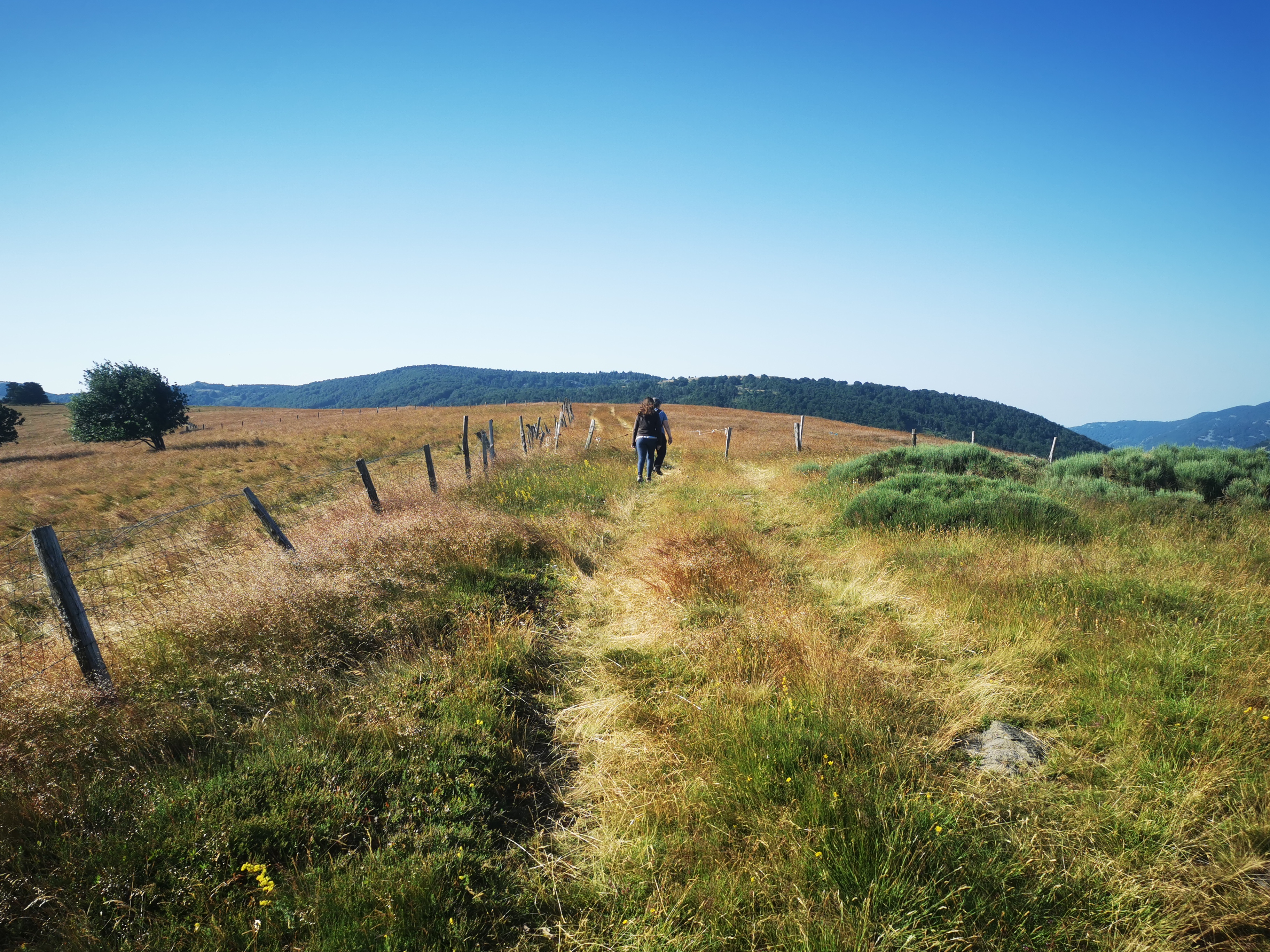 Photo n° 26 de l'avis de Seb. fait le 14/07/2023 à 04:55