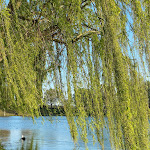 Photo n°4 de l'avis de Leonardo.e fait le 18/04/2021 à 13:57 sur le  Ristorante Bar Pizzeria Oasi al Lago à Santa Maria a Monte