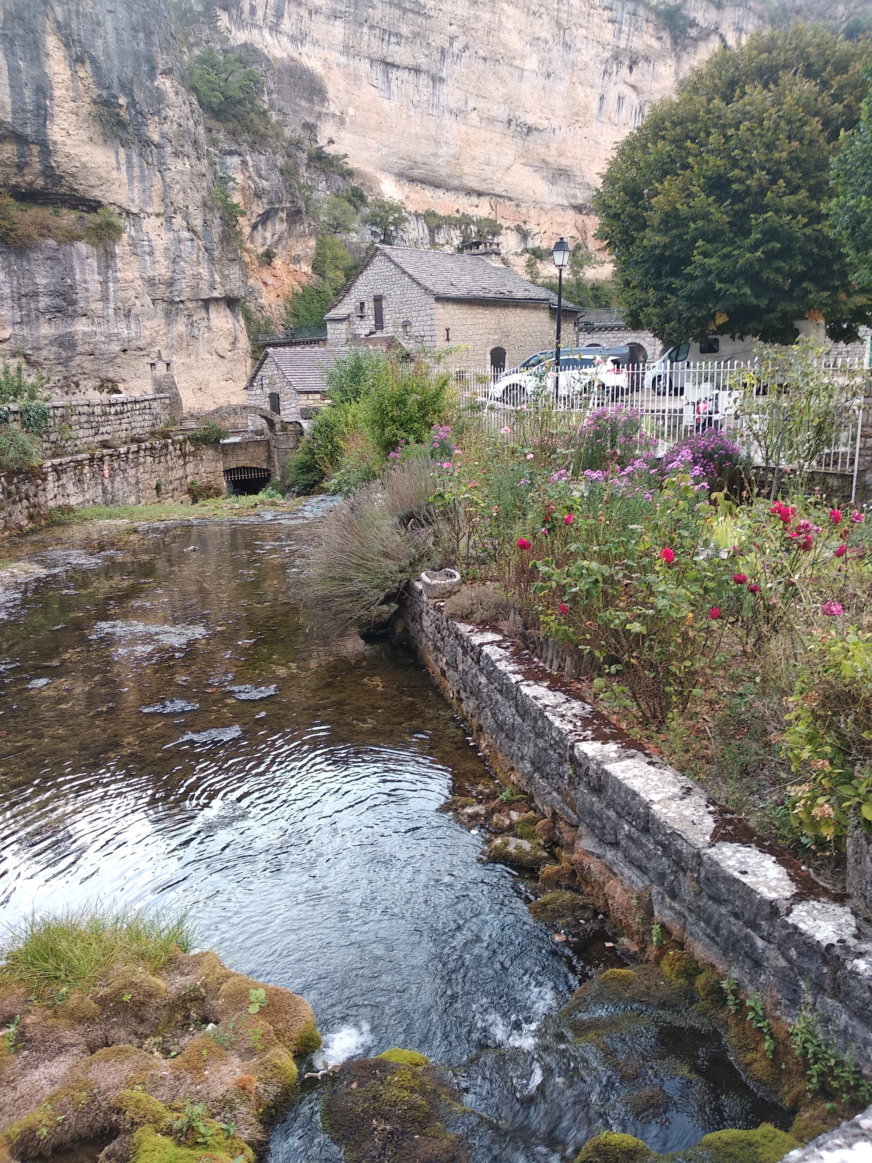Photo n° 3 de l'avis de REBOURG.e fait le 03/10/2021 à 19:16