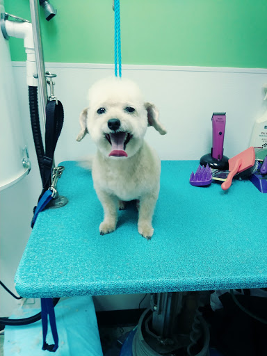 Pet Groomer «Happy Tails Pet Center», reviews and photos, 4370 SE King Rd Ste 260, Milwaukie, OR 97222, USA