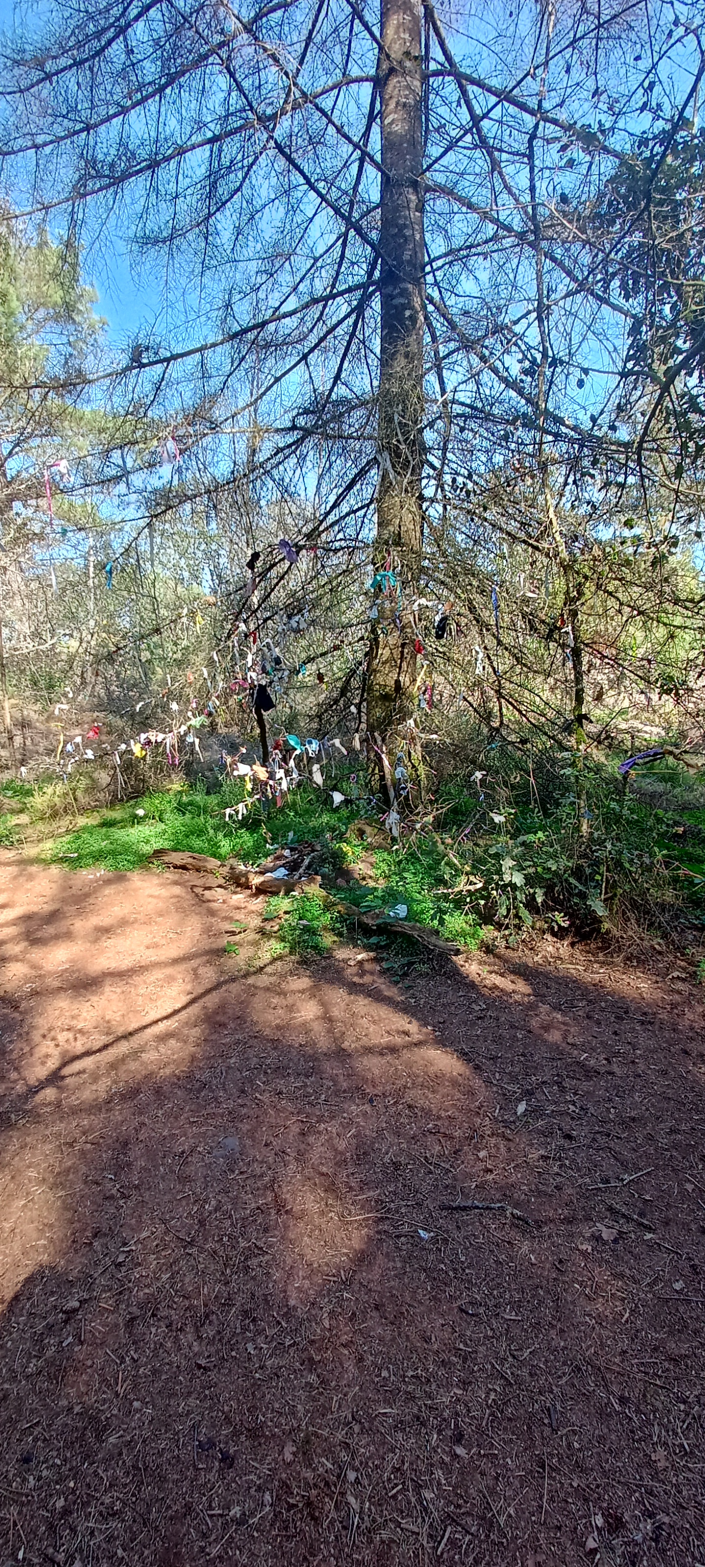 Photo n° 3 de l'avis de Angélique. fait le 08/10/2023 à 19:26