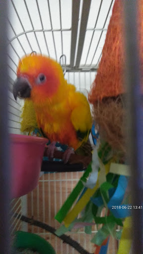 Pet Store «A to Z Pets», reviews and photos, 16010 SE Division St, Portland, OR 97236, USA