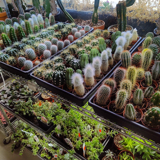 Pet Store «Tye-Dyed Iguana - Reptiles», reviews and photos, 1905 W U.S. 50, Fairview Heights, IL 62208, USA