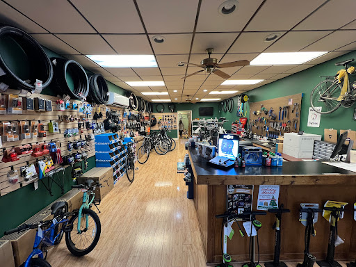 Jackson Family Cycle shop front