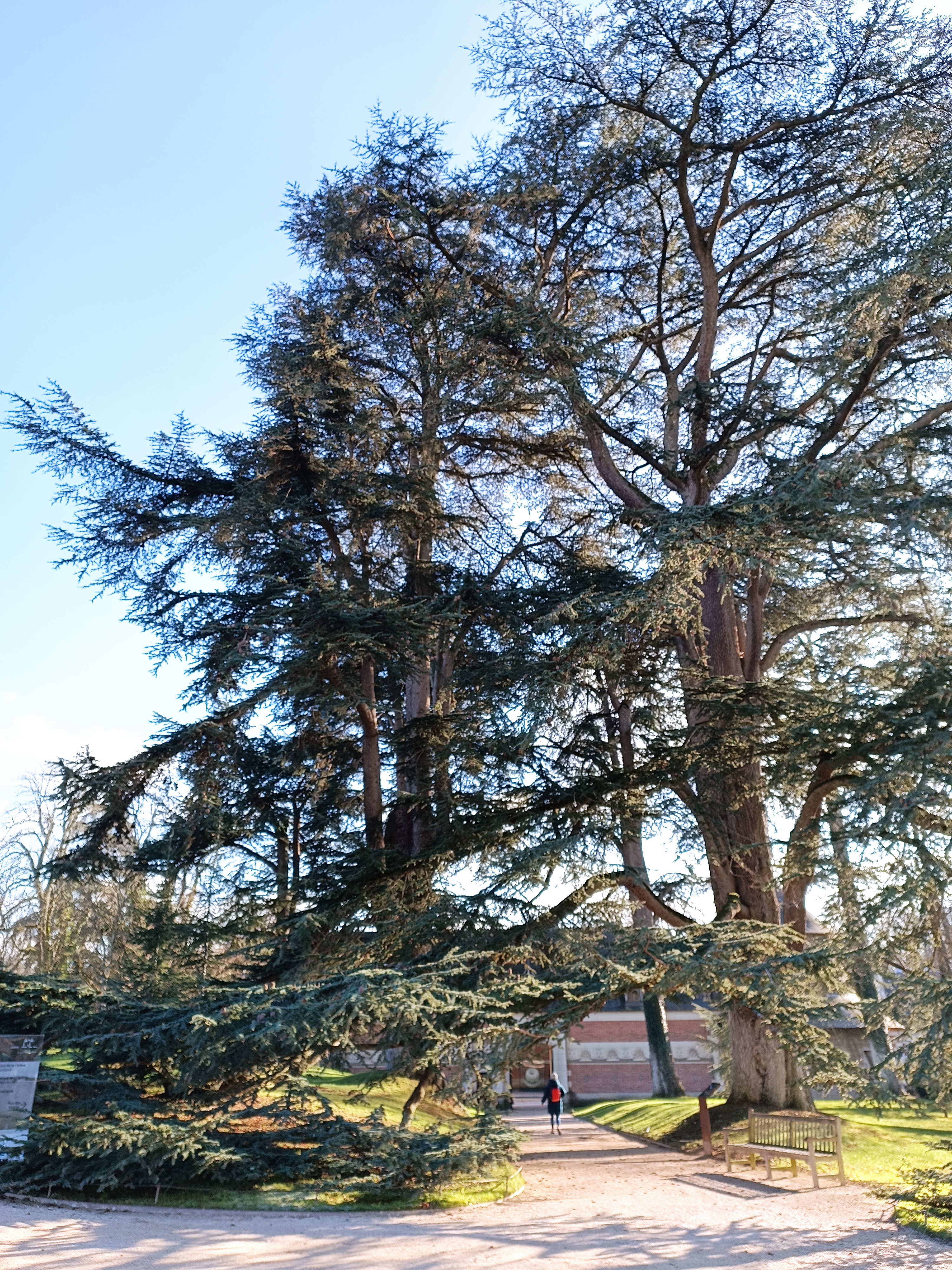 Photo n° 3 de l'avis de Le.a fait le 20/01/2024 à 16:06