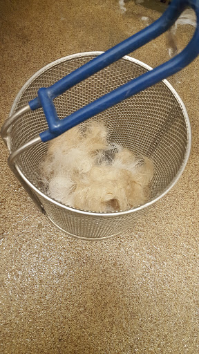 Pet Supply Store «Petco Animal Supplies», reviews and photos, 1201 E Washington Ave, Union Gap, WA 98903, USA