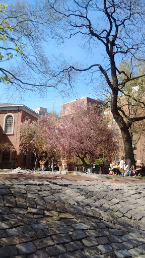 Movie Theater «AMC Village 7», reviews and photos, 66 3rd Ave, New York, NY 10003, USA