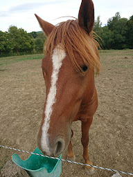 Photo n°2 de Les Balades du Conté à Saint-Michel ()