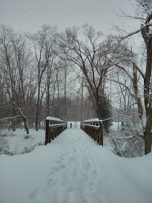 Cape Woods Conservation Area - photo 17