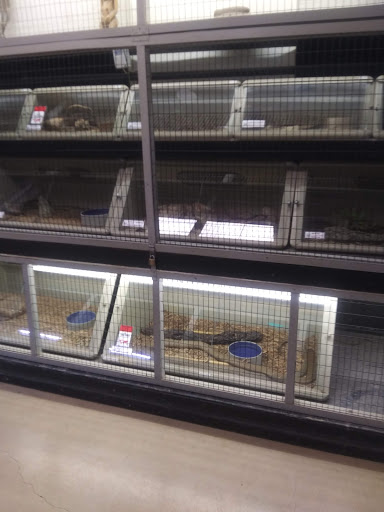 Zoo «Animal World & Snake Farm Zoo», reviews and photos, 5640 Interstate 35 Frontage Rd, New Braunfels, TX 78132, USA