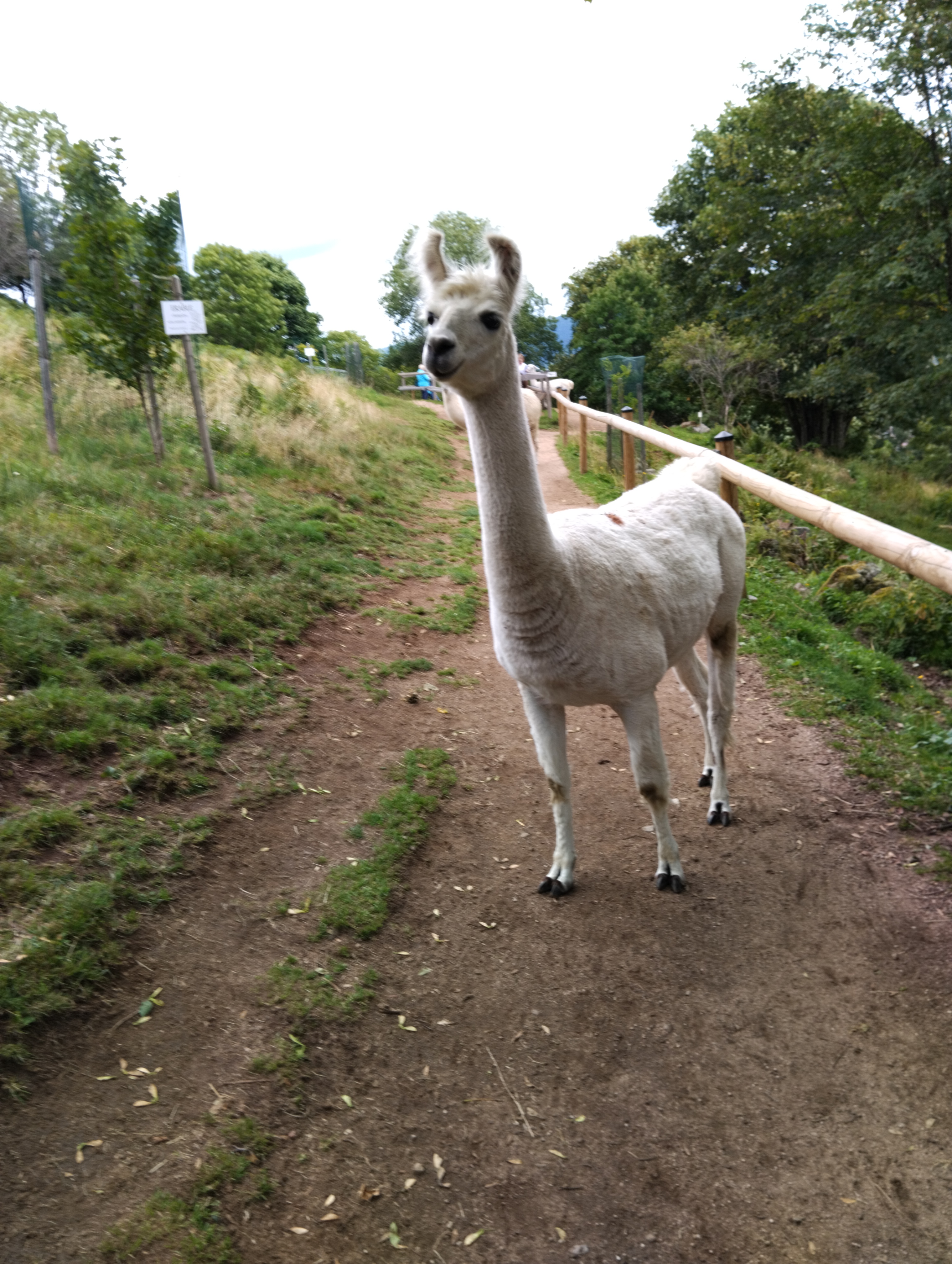 Photo n° 1 de l'avis de isabelle.a fait le 29/07/2023 à 11:22