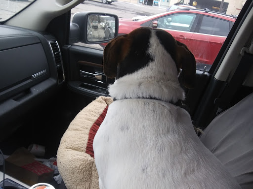 Pet Supply Store «Petco Animal Supplies», reviews and photos, 420 Harry L Dr #2, Johnson City, NY 13790, USA