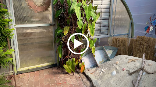 Landscaper «Garden Greenhouse & Nursery», reviews and photos, 1919 U.S. 9, Cape May Court House, NJ 08210, USA