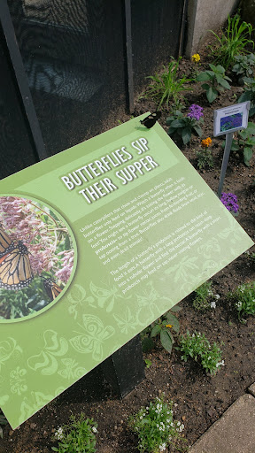 Tourist Attraction «Peck Butterfly House», reviews and photos, 4038 Kaneville Rd, Geneva, IL 60134, USA
