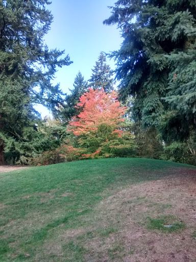Park «Northacres Park», reviews and photos, 12718 1st Ave NE, Seattle, WA 98125, USA