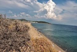 Tuz Lake beach'in fotoğrafı vahşi alan