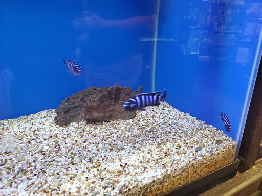 Pet Store «Woofs & Waves», reviews and photos, 5426 Arrowhead Pkwy E, Sioux Falls, SD 57110, USA