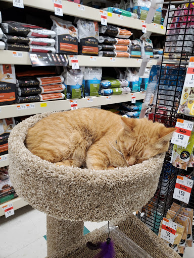 Pet Supply Store «Pet Supplies Plus», reviews and photos, 2057 S Telegraph Rd, Bloomfield Hills, MI 48302, USA
