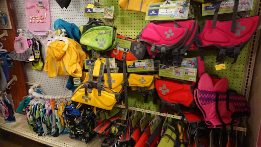 Pet Supply Store «PetSmart», reviews and photos, 3347 E Foothill Blvd, Pasadena, CA 91107, USA