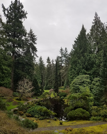 Movie Theater «AMC Loews Factoria 8», reviews and photos, 3505 Factoria Blvd SE, Bellevue, WA 98006, USA