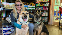 Pet Set Stay & Play - Photo 2 - Car repair in Douglasville, GA, South Fulton