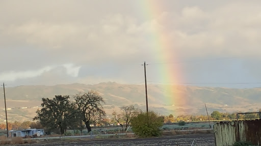 Pet Supply Store «Silva Ranches Feed Store», reviews and photos, 12310 Santa Teresa Blvd, San Martin, CA 95046, USA