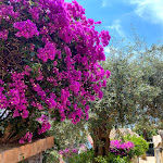 Photo n°1 de l'avis de Kinga.u fait le 13/06/2021 à 17:06 sur le  Hotel Villa Carlotta Taormina à Taormina