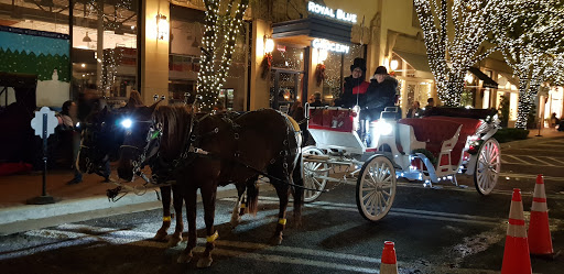 Supermarket «Supermercado El Rancho», reviews and photos, 4121 Gaston Ave, Dallas, TX 75246, USA