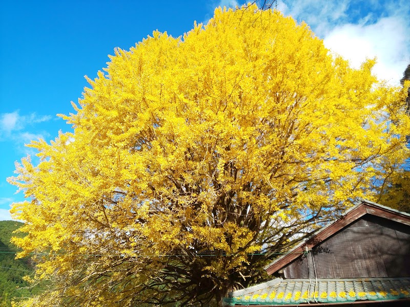 宝泉寺